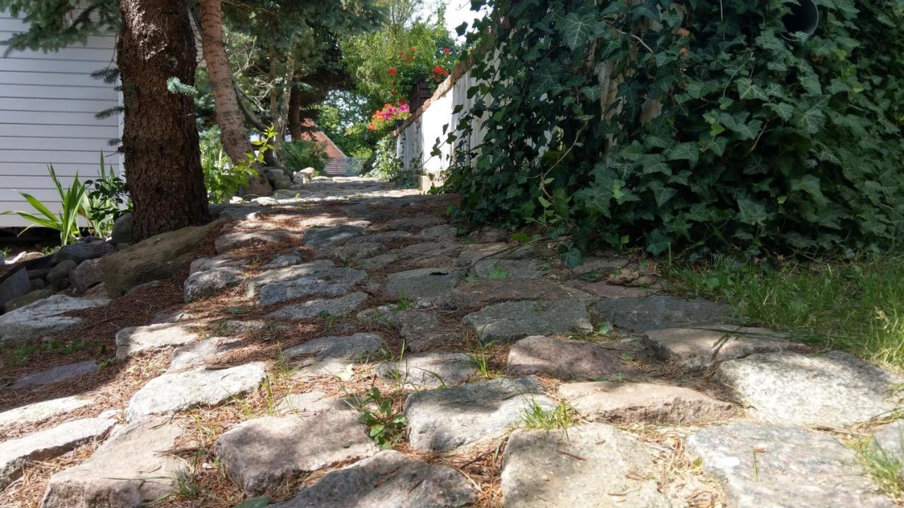 Kamien Baltyku Domki Debina  Buitenkant foto